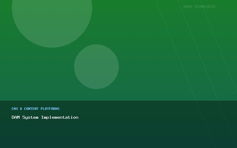 DAM System Implementation