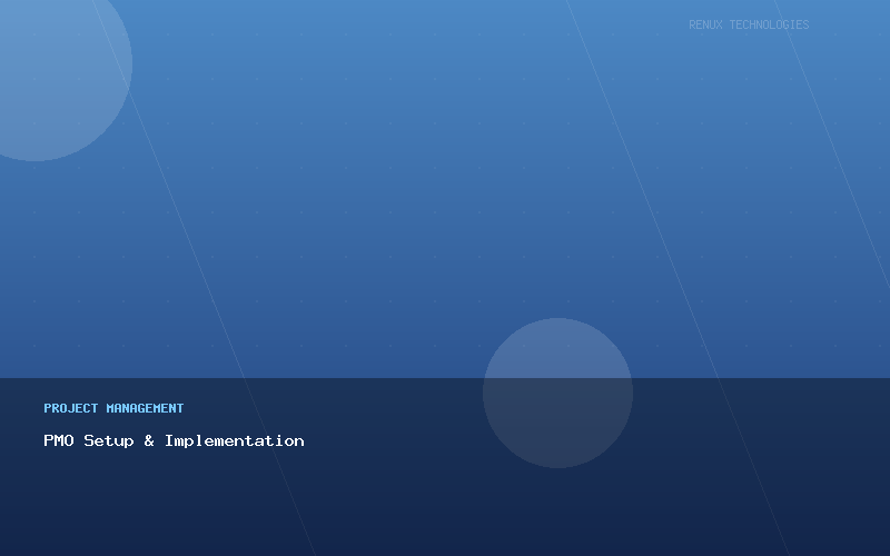 PMO Setup & Implementation