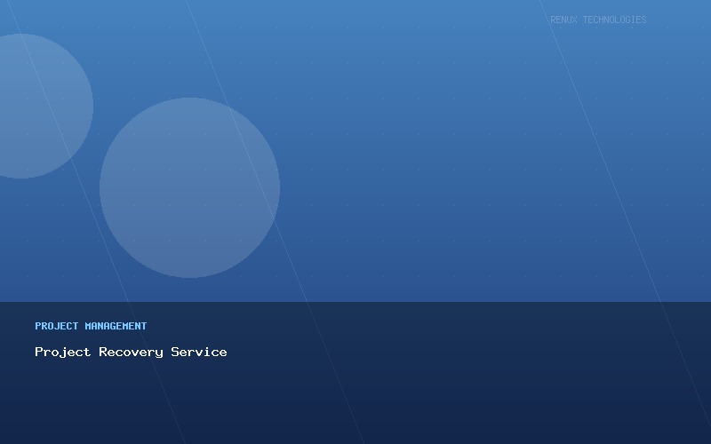 Project Recovery Service